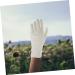 FRCOLOR 12 Pairs Moisturizing Gloves Work Gloves White Cotton Gloves for Dry Hands Working Cotton Gloves Cotton Gloves for Working White Cotton Gloves for Adult Cotton Gloves for Women - Buy Online on GoSupps.com