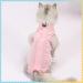 Clrybo Katzenbody for Cats - Post-Surgery Medical Shirt | Pink Size S | Ideal Recovery Suit for Castration - Buy Online on GoSupps.com