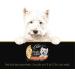 CESAR Simply Crafted Wet Dog Food Chicken Carrots & Green Beans - Chicken Sweet Potato Apple Barley & Spinach 8x37g Variety Pack - Buy Online on GoSupps.com