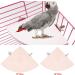 2 Pieces Wooden Fan Shape Bird Cage Perches - Platform Toy for Hamsters & Parrots - International Shipping Available - Buy Online on GoSupps.com
