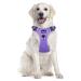 Eyin dog harness for large dogs adjustable breathable reflective padded and breathable breast dishes with handle and front bracket for daily training (purple l) l (neck: 42-60cm breast: 47-86cm) Lila