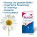 Kamistad Mouth Spray 20 ml - Fast Relief for Oral Pain | Buy Internationally - Buy Online on GoSupps.com