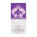 Jesus Del Pozo Halloween Edt Spy 100ml /3.4oz (w) - Buy Online on GoSupps.com