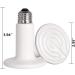 2 Pack 100W BOEESPAT Ceramic Heat Emitter Bulb - Reptile Heat Lamp for Pets - White - Buy Online on GoSupps.com