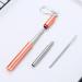 304 Stainless Steel Telescopic Straw with Three Sections and Aluminum Alloy Storage Sleeve Colorful Outdoor Portable Travel Gift the black one - Buy Online on GoSupps.com