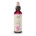 Bach Original Flower Remedies, Oak for Endurance and Strength, Natural Homeopathic Flower Essence, Holistic Wellness and Stress Relief, Vegan, 20mL Dropper