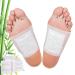 Premium Foot Pads: Foot Health Fresh Scent Foot Care Sleeping & Anti-Stress Package New Formula (10)