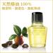 Oshima Tsubaki 40ml - Premium Camellia Oil for Skin & Hair | International Shipping Available - Buy Online on GoSupps.com