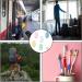 Zelhyeuu 5-Piece Portable Toothbrush Protective Cover Set - Ideal for Travel Camping and School - Buy Online on GoSupps.com
