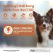 Wellness CORE Adult Original Dry Dog Food Dog Food Dry Grain Free Dog Food High Meat Content Turkey & Chicken 10 kg Original - Chicken & Turkey 10kg - Buy Online on GoSupps.com