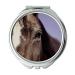 Mirror makeup mirror animal animal photography close up pocket mirror portable mirror