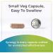 Synergy Holistics | Adrenal Synergy - Supports Energy & Mood - Stress Relief Supplement with Ashwagandha Holy Basil & Rhodiola - Non-GMO |1-2 Capsules Daily - 90 Veg Caps - Buy Online on GoSupps.com