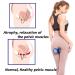 Premium Pelvic Floor Muscle Trainer | Inner Thigh & HIPS Exerciser - Postpartum Rehab & Bladder Control - Purple - Buy Online on GoSupps.com