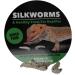 ProRep Silkworm Chow 60g | Complete Food for Silkworms | White Mulberry Leaves - Buy Online on GoSupps.com
