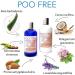99% Natural SHAMPOO with ALOE VERA ALMOND OIL JOJOBA GERANIUM & LAVENDER - 250 ml POO FREE. No Sulfates No Parabens. Concentrated. pH 5.5 Balanced Gentle Suitable for Sensitive Skin - Buy Online on GoSupps.com
