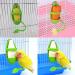 Fyfjur Bird Parrot Cuttlebone Holder with Perches - Pet Bird Supplies 14.3 x 5.5cm - Buy Online on GoSupps.com