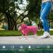 Adjustable Waterproof Dog Raincoat - Reflective Jacket for Small to Medium Dogs (L Rose) | Outdoor Rain Jacket with Legs - Buy Online on GoSupps.com