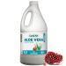 Pure Aloe Vera Juice Pomegranate 1.5L - Cold-Processed from Organic Fresh Leaves for Intestinal Issues Made In Canada