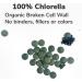 KIKI Health Organic Chlorella Tablets - 100% Organic Superfood for Digestive, Immune & Brain Health | Vegan Protein & Vitamins | Chlorella Vulgaris 200 Tablets (500mg) - Buy Online on GoSupps.com