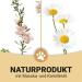 Canifee Ear Drops for Dogs - Manuka Oil & Yeast Mushroom Formula 110ml - Natural Ear Mite & Inflammation Care - Buy Online on GoSupps.com
