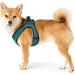Hunter Hilo Comfort Harness for Small Dogs - Turquoise Mesh & Reflective Elements Size M | International Shipping Available - Buy Online on GoSupps.com