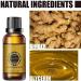 Yynn Belly Drainage Ginger Oil - Organic Lymphatic Massage Oil for Swelling Pain Relief & Skin Improvement (5PCs) - Buy Online on GoSupps.com