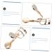 DOITOOL Eyelash Curler Lashes Tool Carbon Steel Brush Comb Curler Hair Rollers for Women Lash Beauty Tools Kit para Pesta as Make up Kit Cosmetic Tools Set Portable Stainless Steel Miss 10.5X3.5X0.5CM - Buy Online on GoSupps.com