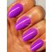 BLUESKY GEL NAIL POLISH PURPLE WEDDING FANTASY VIBRANT PURPLE DC29 DENCE RANGE UV/LED SOAK OFF Spring Summer Color - Buy Online on GoSupps.com