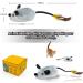 Buy Electric Play Mouse Cat Toys - Interactive USB Pet Mice with Springs for Cats - Buy Online on GoSupps.com