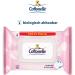Cottonelle Moist Toilet Paper Maxi Pack - Sensitive & Nourishing Biodegradable Perfume-Free 12x84 Towels | International Shipping Available - Buy Online on GoSupps.com