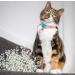 Kittyrama Reflective Cat Pendant | Security Cat Brand | Waterproof Light & Visible | Fits All Reflective Cat Neck Bands | Heart Styles Available - Buy Online on GoSupps.com