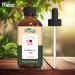 Echinacea Oil - Pure Natural Carrier Oil for Skincare & Hair Care - 30ml | Echinacea angustifolia - Buy Online on GoSupps.com