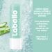 Buy Labello Aloe Vera & Vitamin E - Hydrating Lip Balm for Soft Lips | International Shipping - Buy Online on GoSupps.com