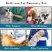 Newsbirds Dog Surgery Recovery Suit for Small Dogs - XL Blue | Post-Op Puppy Wound Protection - Buy Online on GoSupps.com