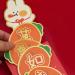 Amosfun 12 Pcs 2023 Red Envelope Lai See Hong Bao Birthday Money Pockets Cash Envelopes Wedding Red Pocket Rabbit Year Red Packets Lucky Money Packets Wedding Money Year Red Envelope Paper - Buy Online on GoSupps.com