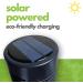 GREENSTRIKE 2 in 1 Solar Flame Stake Light & Zapper | 2 Pack | 980 - Buy Online on GoSupps.com