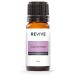 Cardamom Essential Oil by Revive Essential Oils - 100% Pure Therapeutic Grade for Diffuser Humidifier Massage Aromatherapy Skin & Hair Care