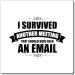Funny Surviving Another Virtual Office Meetings Statements Novelty Remotely Emailing Working Mockery Sayings Magnets 3" 3" - Buy Online on GoSupps.com