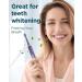 Sonic Electric Toothbrush for Adults and Kids - 8 Replacement Heads, 5 Modes, 120 Days Use, Fast Charge - Purple - Buy Online on GoSupps.com