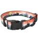 Heele dog collar dogs collar for puppies Small medium-sized large dogs patterned dog collars adjustable comfort robust dog collar sunrise s s (length 25-38cm width 1.5cm) sunrise