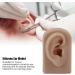 Simulated Right Ear Model for Ear Piercing Training | Realistic Soft Human Ear for Headphone Display (Brown) - International Shipping Available - Buy Online on GoSupps.com