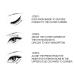 Open Eyes Awaken Peptide Lifting Eye Gel - Anti-Wrinkle Firming Treatment (2pcs) - Buy Online on GoSupps.com