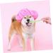 BESPORTBLE 2 Sets Pet Toothbrush Dog Chew Toothbrush Small Dog Toothbrush Dog Chew Brush Dog Toothpaste Pets Pp - Buy Online on GoSupps.com