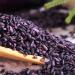 purple rice 17.63oz New rice in the season brown rice Purple glutinous rice Coarse Cereals Coarse grain 500g - Buy Online on GoSupps.com