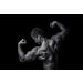 Anabol Power Extrem Testo Booster mit Tribulus Terrestris Effektiver Muskelaufbau f r maximales Wachstum | Internationaler Versand - Buy Online on GoSupps.com