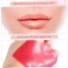 SOESFOUFU 2 Boxes Lip Mask Portable Lip Gel Pads Beauty Products Lip Care Products Beauty Tools Lip Plumping Masks Laniege Lip Hydrating Grace and Stella Gel Lip Patch Glycerin Moisturizing - Buy Online on GoSupps.com