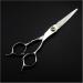 Shears for Hair Cutting 6 Inch Barber Scissors Hair Salon Flat Scissors Hairdressing Scissors Beauty Scissors Thinning Scissors Hair Cutting Kit Set B - Buy Online on GoSupps.com
