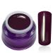 Color Gel Ottawa Purple Violet Uv Led Nail Gel Studio Quality Color Gel RM Beautynails 1 Pack (1x 5ml)