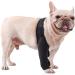 Angoily Knee Pads Dog Acl Dogs Knee Dog Leg Cover Pet Injury Supply Bracket Hind Legs Puppy S As Shown - Buy Online on GoSupps.com