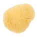 HAPINARY Natural Sponge Greece Face Sponges for Cleansing and Exfoliating Facial Essentials Face Cleaning Pad Sponges for Facials Facial Cleansing Sponge Cleansing Sponges for Face